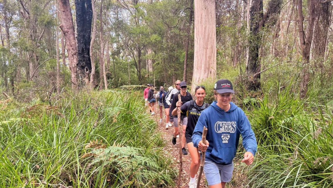 Private 3 Hour Guided Day Hike — Denmark WA Image