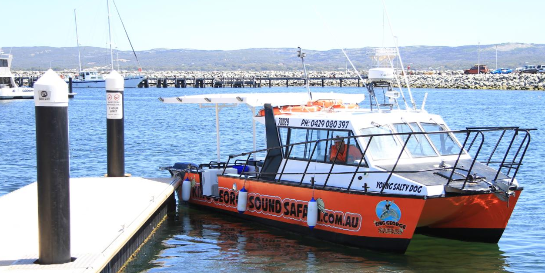 King George Sound Safari Image