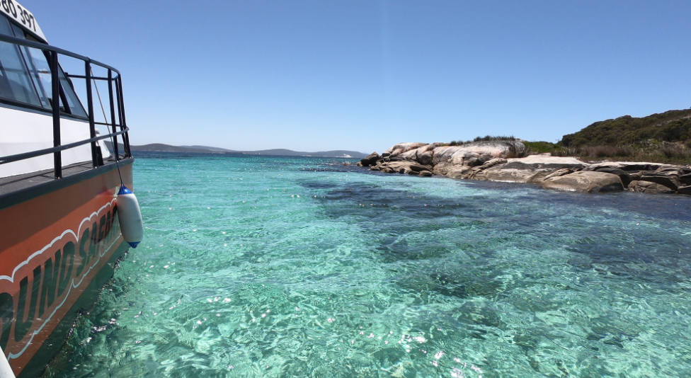 2 Hour Summer Sea Safari Image